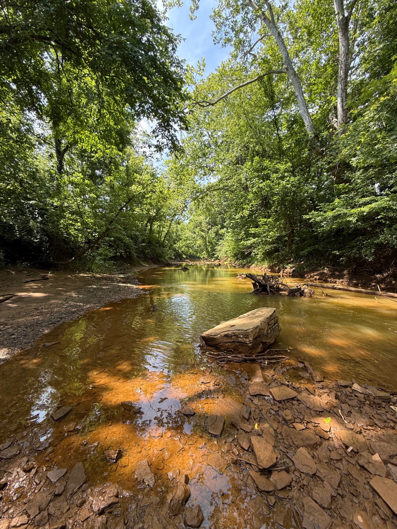 Sunday Creek running clear through the wooded Burrow property on a summer afternoon